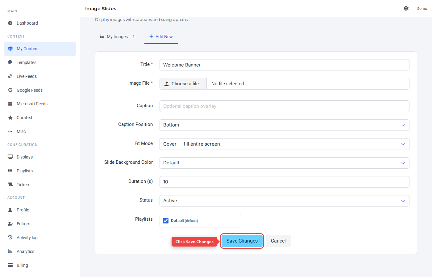 Form bottom with the Save Changes button highlighted
